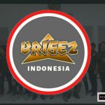 Brigez-lead999